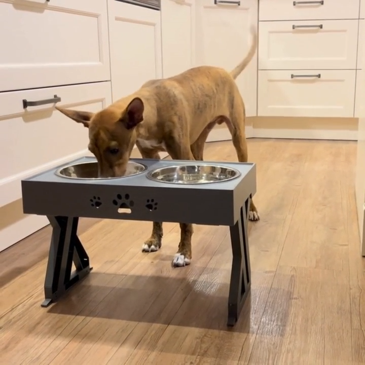 HAPPYBOWL - Ciotola rialzata , abbassa lo stress!